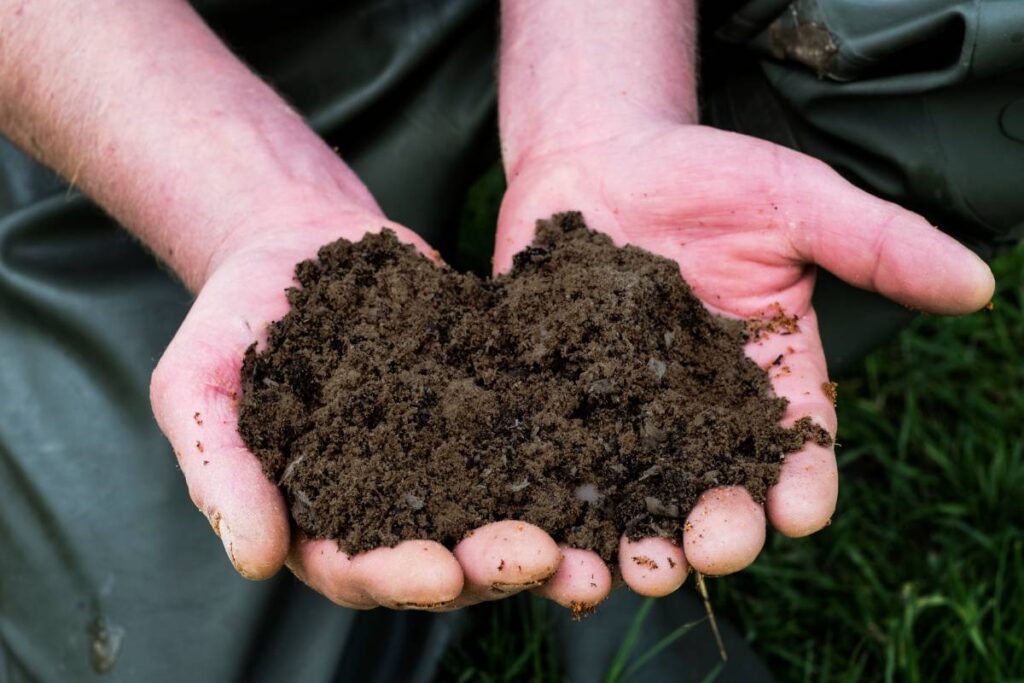 Do Electric Composters Actually Work? How? Vs Composting?