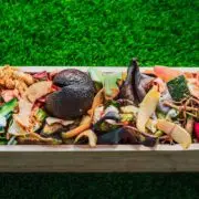 Peelings and organic waste in a wooden crate to create homemade compost.