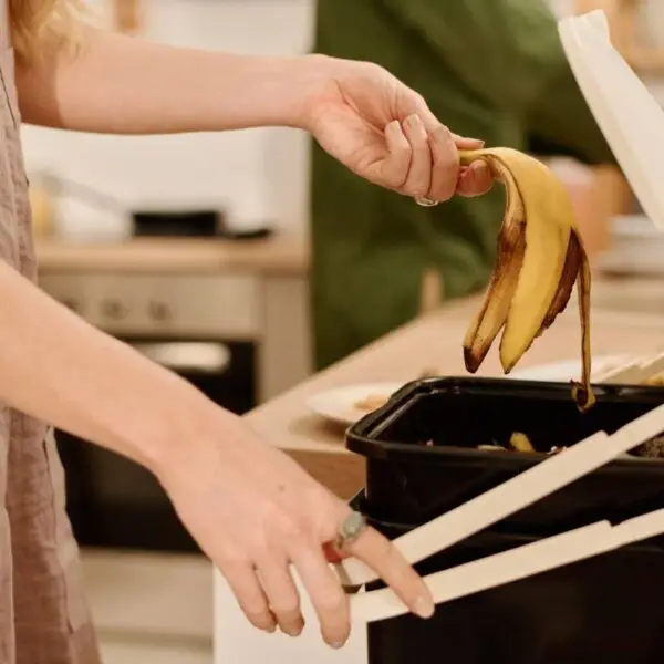 Side view of hands of young housewife opening lid of plastic bucket with compost and throwing banana peel after eating fruit