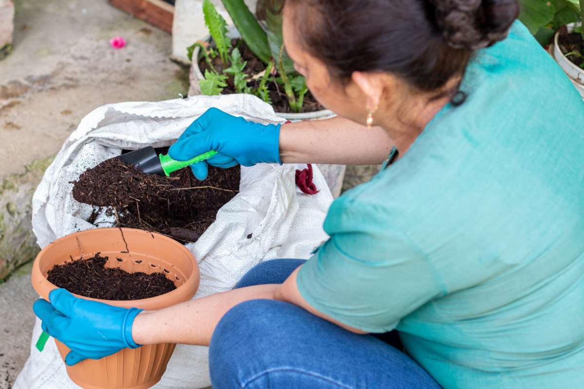 Woman taking fertile soil out of a sack and pouring it into a pot for a new plant.