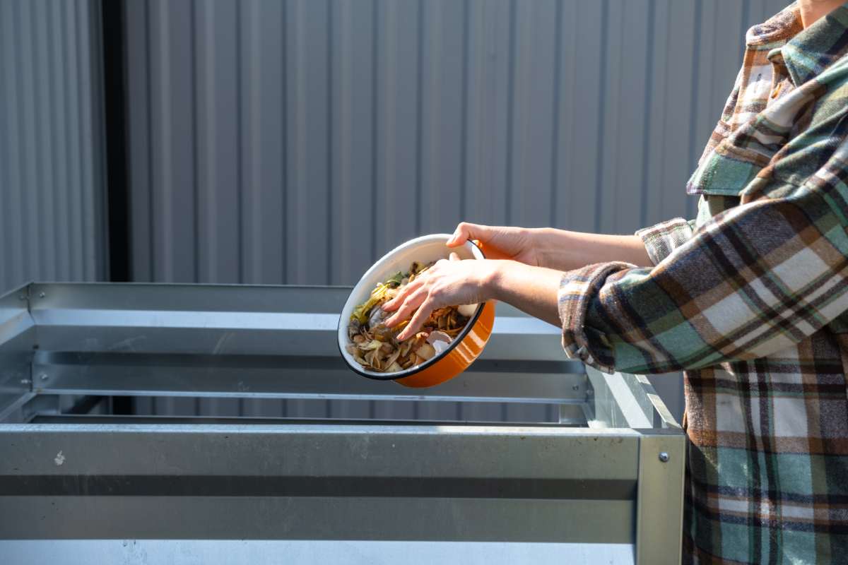 A woman in a plaid shirt pours food waste from a bowl into a compost heap of potato and carrot peelings. Compost box made of metal, eco-friendly fertilizer for the garden